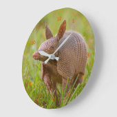 Grande Horloge Ronde Close-up de Floride (Angle)