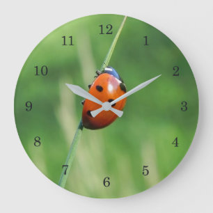 Grande Horloge Ronde Coccinelle sur une brin d'herbe