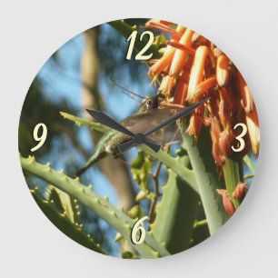 Grande Horloge Ronde Colibri à gorge noire en vol
