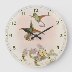 Grande Horloge Ronde Colibri à queue blanche (Eupherusa poliocerca)