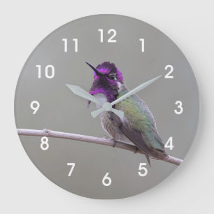Grande Horloge Ronde Colibri de Costa