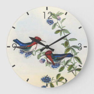 Grande Horloge Ronde Colibri vintage par John Gould