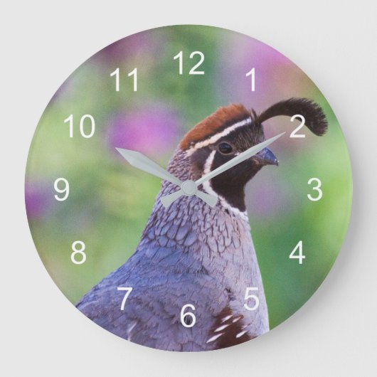 Grande Horloge Ronde Colorful quail (Recto)