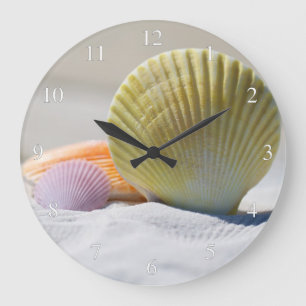 Grande Horloge Ronde Coquillages Sur La Plage En Petit Nombre