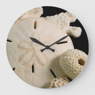 Grande Horloge Ronde Coquilles blanches et dollar de sable