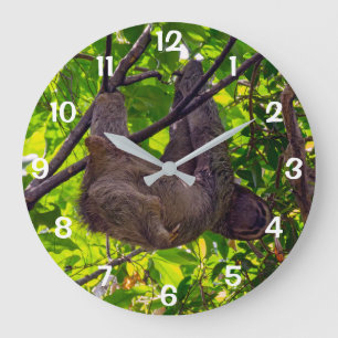 Grande Horloge Ronde Costa Rica - Happy Sloth paresseux, Antonio Manuel