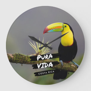 Grande Horloge Ronde Costa Rica Pura Vida Toucan Photo