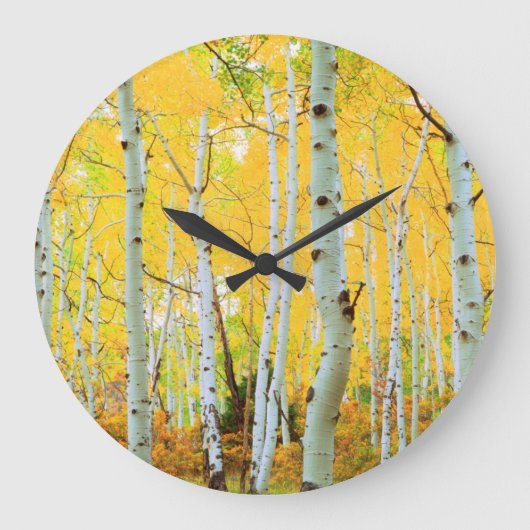 Grande Horloge Ronde Couleurs automnales des arbres d'Aspen 1 (Recto)