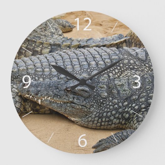 Grande Horloge Ronde Crocodiles (Recto)