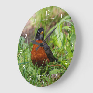 Grande Horloge Ronde Curieux oiseau-chanteur Robin Américain dans l'her