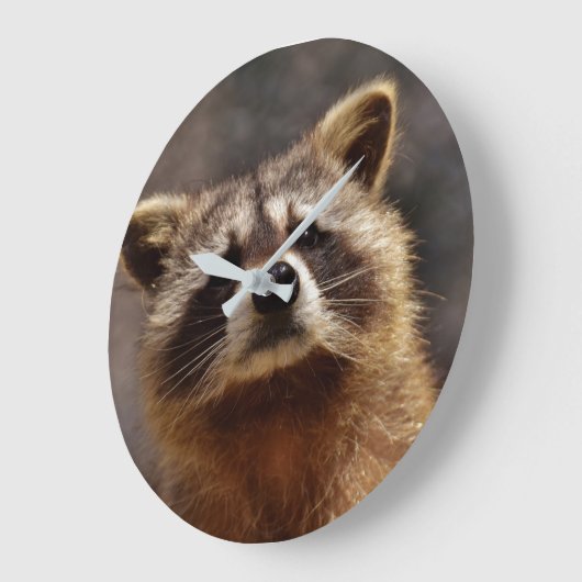 Grande Horloge Ronde Curious Raccoon (Angle)