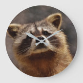 Grande Horloge Ronde Curious Raccoon (Recto)