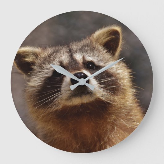 Grande Horloge Ronde Curious Raccoon (Recto)