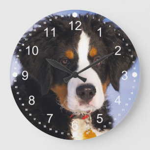 Grande Horloge Ronde Cute Bernese Mountain Dog Puppy Picture