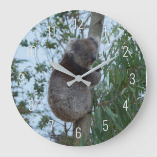 Grande Horloge Ronde Cute Koala Escalade dans un arbre Australie