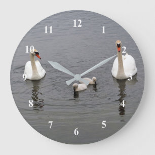 Grande Horloge Ronde Cygnets de cygne muet photo d'eau