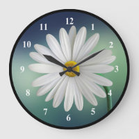 Daisy