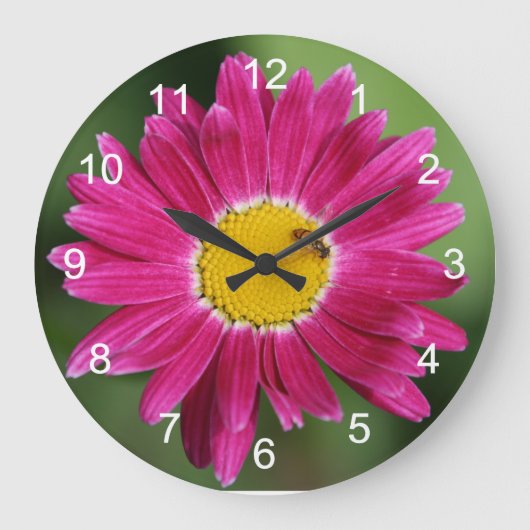 Grande Horloge Ronde Daisy and Bee (Recto)