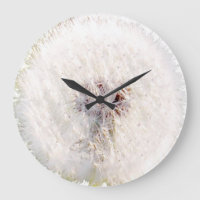 Dandelion seed head clock