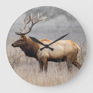 Grande Horloge Ronde Deer Stag Animaux Faune Nature Buck