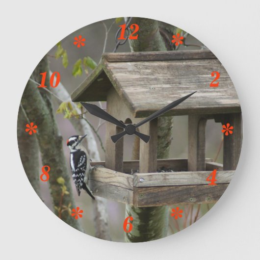 Grande Horloge Ronde Downy Woodpecker (Recto)