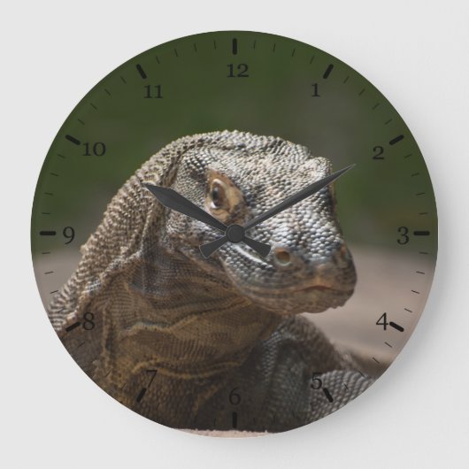 Grande Horloge Ronde Dragon de moniteur Komodo (Recto)