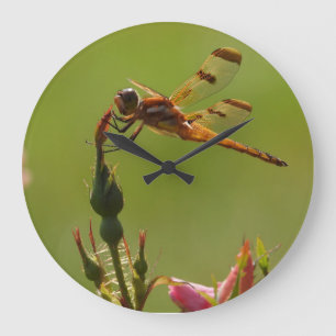 Grande Horloge Ronde Dragonfly en or sur Green
