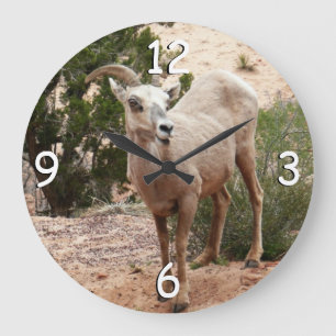 Grande Horloge Ronde Drôle Mouton de Bighorn dans le parc national Zion