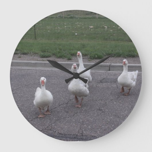 Grande Horloge Ronde Duck Clock (Recto)