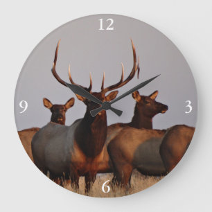 Grande Horloge Ronde E66 Elcs et vaches taureaux