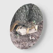 Grande Horloge Ronde Écureuil (Angle)