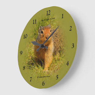 Grande Horloge Ronde Écureuil terrestre colombien curieux mignon affamé
