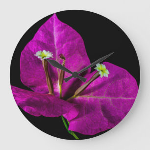 Grande Horloge Ronde Élégant Bougainvillier violet