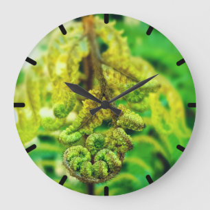 GRANDE HORLOGE RONDE ELEGANT VIVID GREEN LOVE PHOTO NEW ZEALAND KIWI