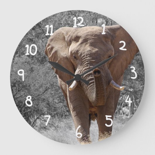 Grande Horloge Ronde Eléphant africain (Recto)