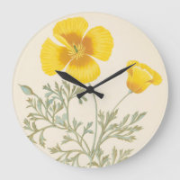 Eschscholtzia californien