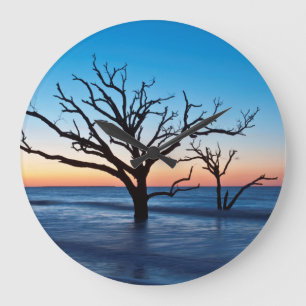 Grande Horloge Ronde États-Unis, Caroline du Sud, île d'Edisto, Botany