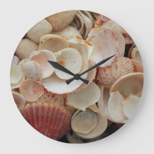 Grande Horloge Ronde États-Unis, Floride. Gros plan de coquillages sur