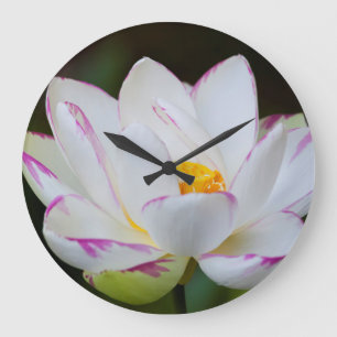 Grande Horloge Ronde États-Unis, Géorgie, Savannah, fleurs de lotus