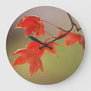 Grande Horloge Ronde États-Unis, Kansas, Feuilles Rouges En Début D'Aut