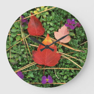 Grande Horloge Ronde États-Unis, Washington, comté de Spokane, feuilles