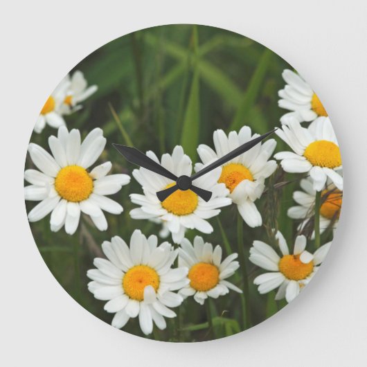 Grande Horloge Ronde États-Unis, Washington, Seattle, Puget Sound 3 (Recto)