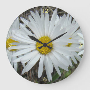 Grande Horloge Ronde F42 Fleurs sauvages blanches Aster lisse