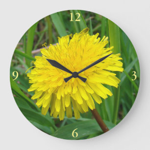 Grande Horloge Ronde F45 Dandelion "Taraxacum officinale"