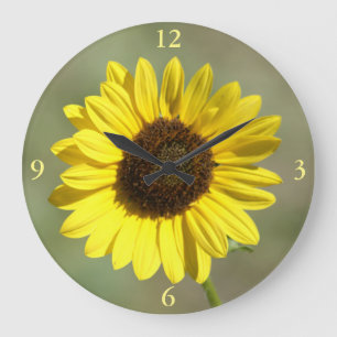 Grande Horloge Ronde F47 Fleur sauvage jaune Tournesol annuel commun