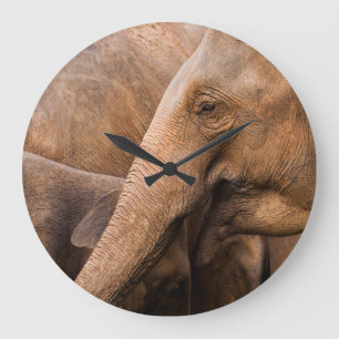 Grande Horloge Ronde Famille des éléphants : Faune majestueuse