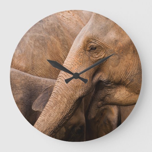 Grande Horloge Ronde Famille des éléphants : Faune majestueuse (Recto)