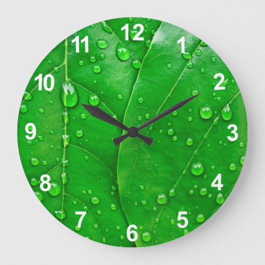 Grande Horloge Ronde Feuilles verts (Recto)