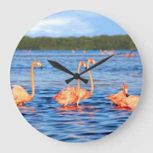 Grande Horloge Ronde Flamants roses : Celestun Park, Mexique.