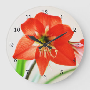 Grande Horloge Ronde Fleur Amaryllis rouge
